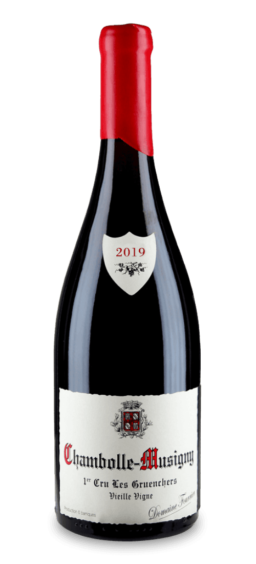 Domaine Fourrier, Gevrey-Chambertin Premier Cru, Les Goulots Vieille Vigne 17623542019